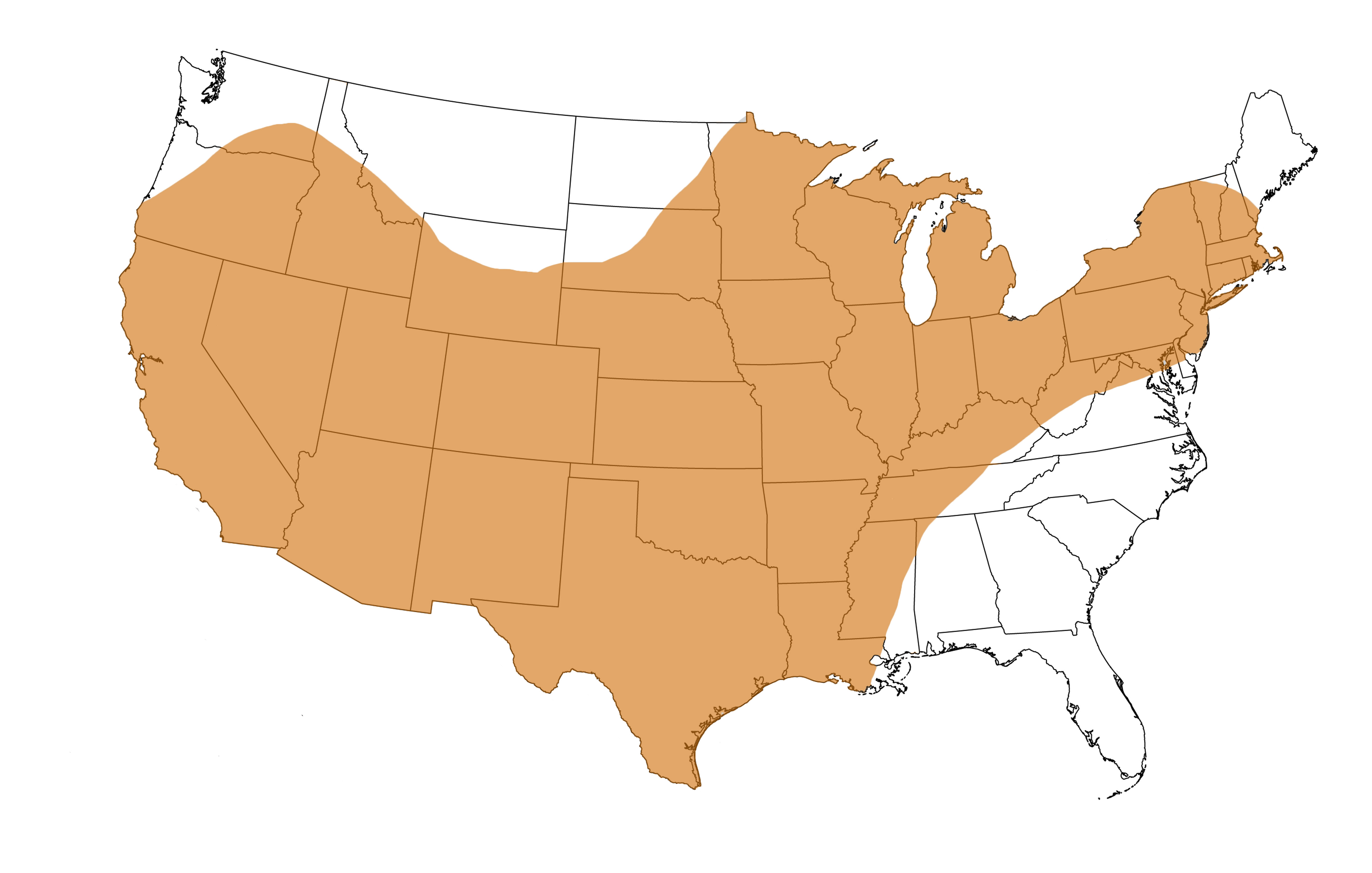  Geographic range of  Schistocerca lineata  (Scudder) 
